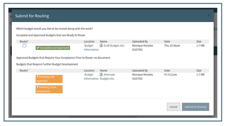 Choosing a Budget for Routing