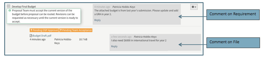 Comments on both Requirement and File