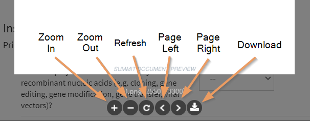 Document Preview Icons