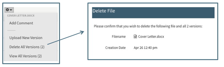 Deleting File and all Versions